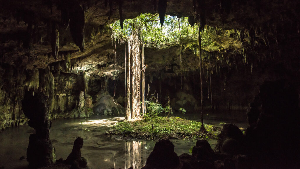 Wonders of Mexico — S1E1 — Forests of the Maya