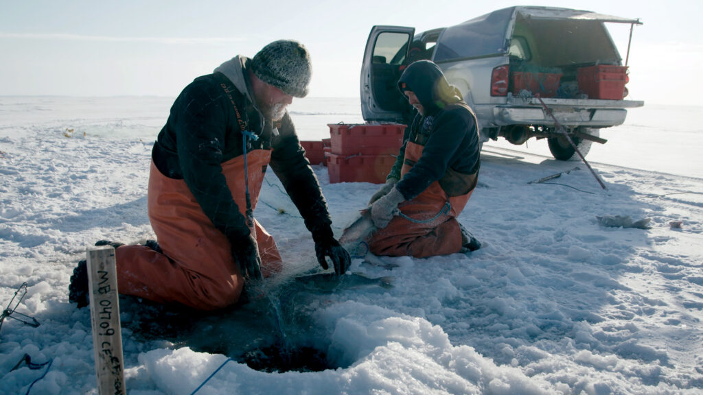Ice Vikings — S1E7 — The Final Push