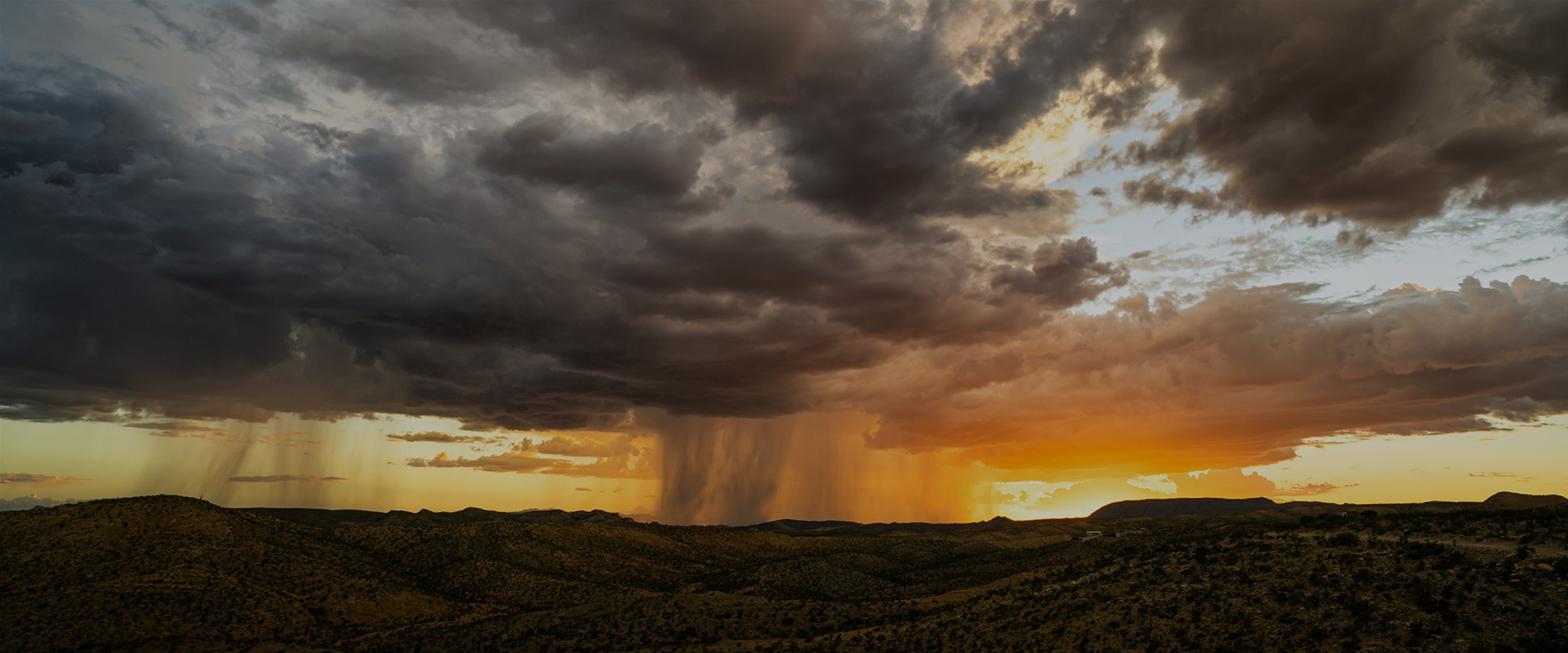 Wild Texas