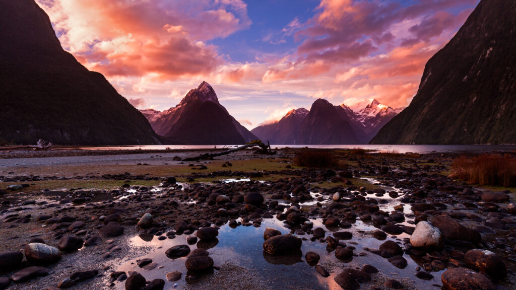 New Zealand: Earth's Mythical Islands — S1E2 — Wild Extremes