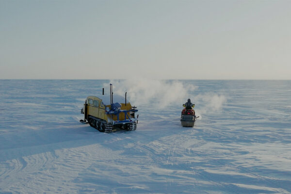 Ice Vikings