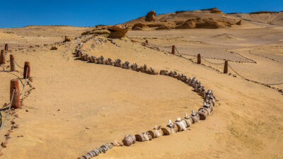 Egypt's Secret Valley of the Whales — Episode 0