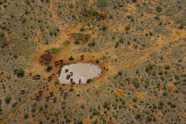 Once Upon a Time in Tsavo