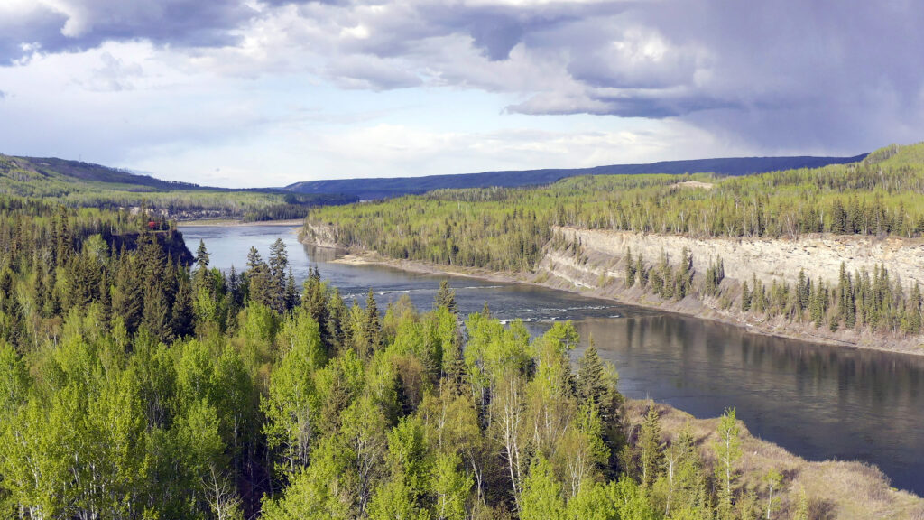 The Rockies' Wild Corridor: From Yellowstone To Yukon — S1E2 — Grizzlies