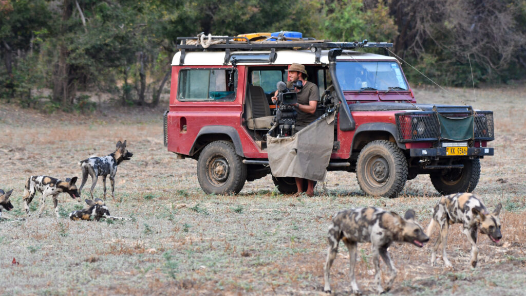 Wild Dogs: Pack vs Pride — S2E5 — Tragedy Strikes Kakumbi