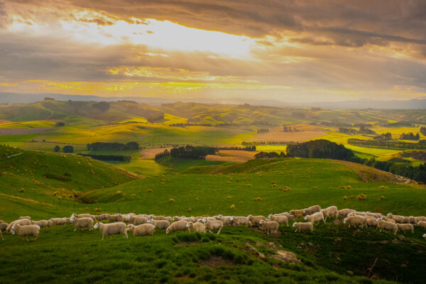 New Zealand: Earth's Mythical Islands