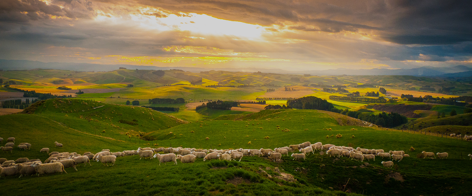 New Zealand: Earth's Mythical Islands