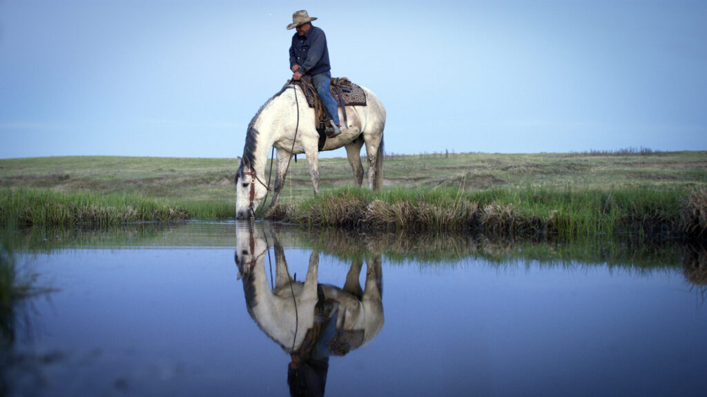 Grasslands: North America’s Hidden Wilderness — S1