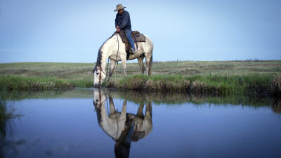 Grasslands: North America's Hidden Wilderness — Episode 0