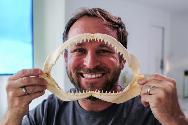 Frankenshark