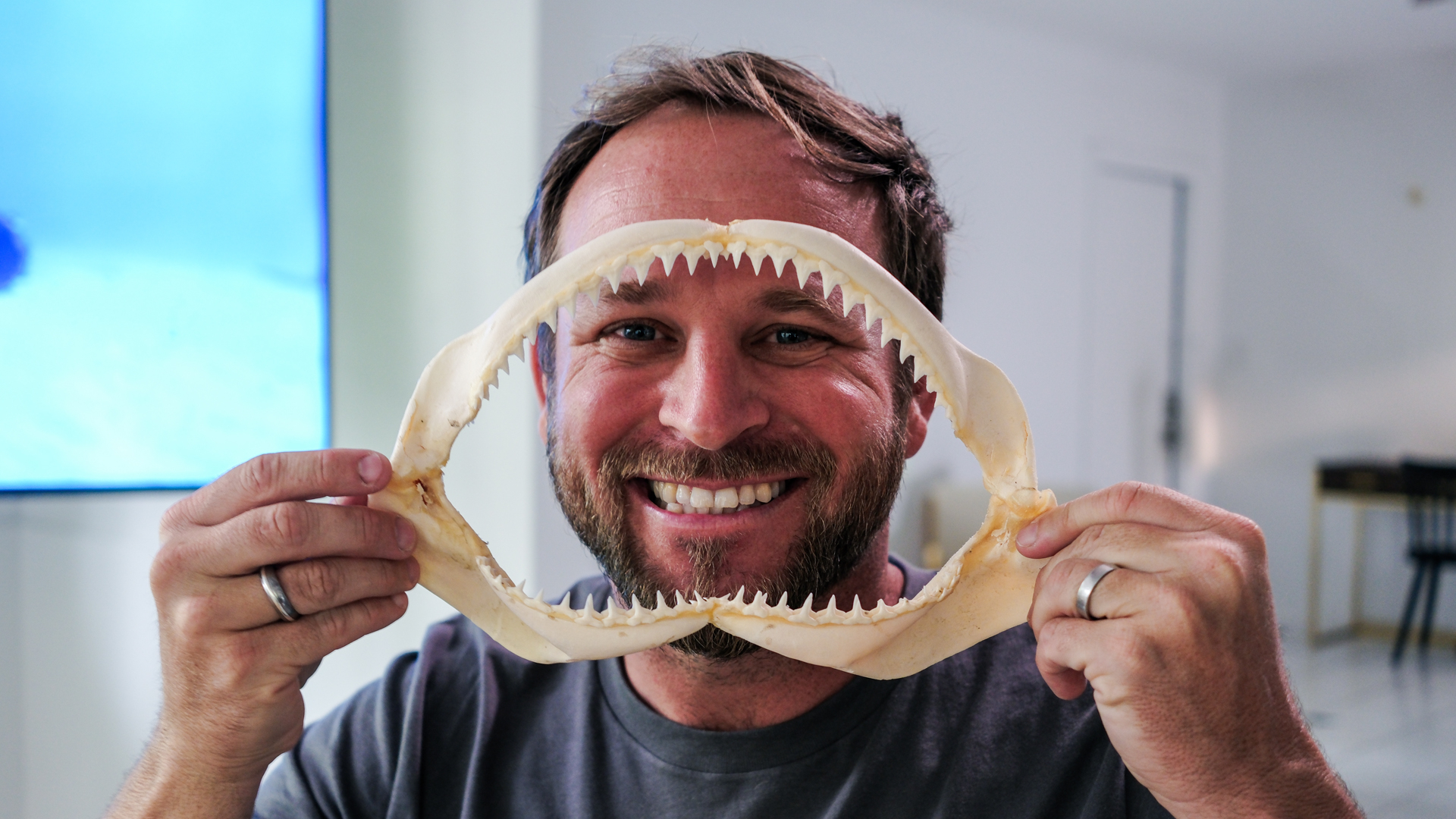 Frankenshark