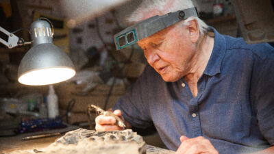 Attenborough and the Sea Dragon — Episode 0
