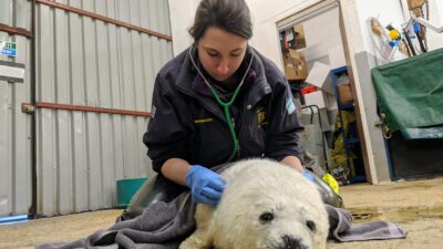 The Highland Vet — Episode 2