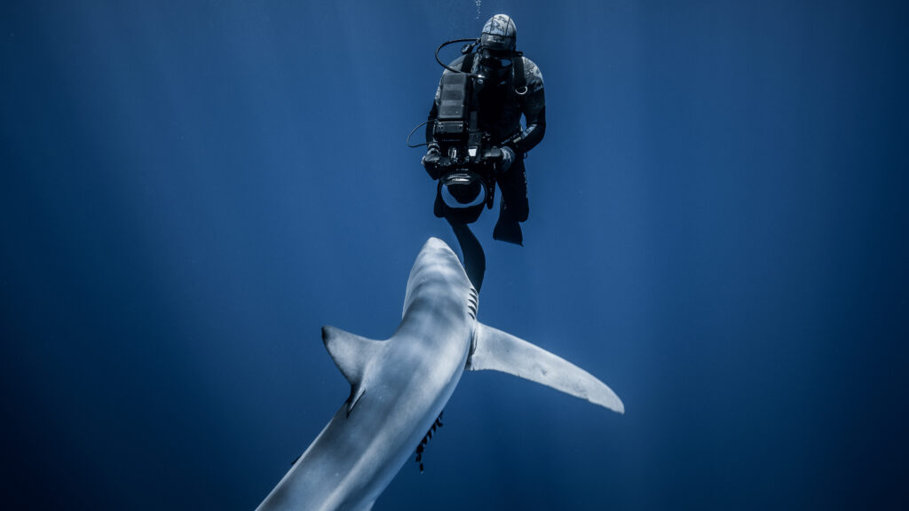 Atlantic - The Wildest Ocean on Earth — S1E2 — Mountains of the Deep