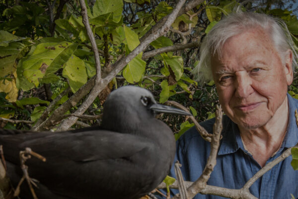 Attenborough's Global Adventures