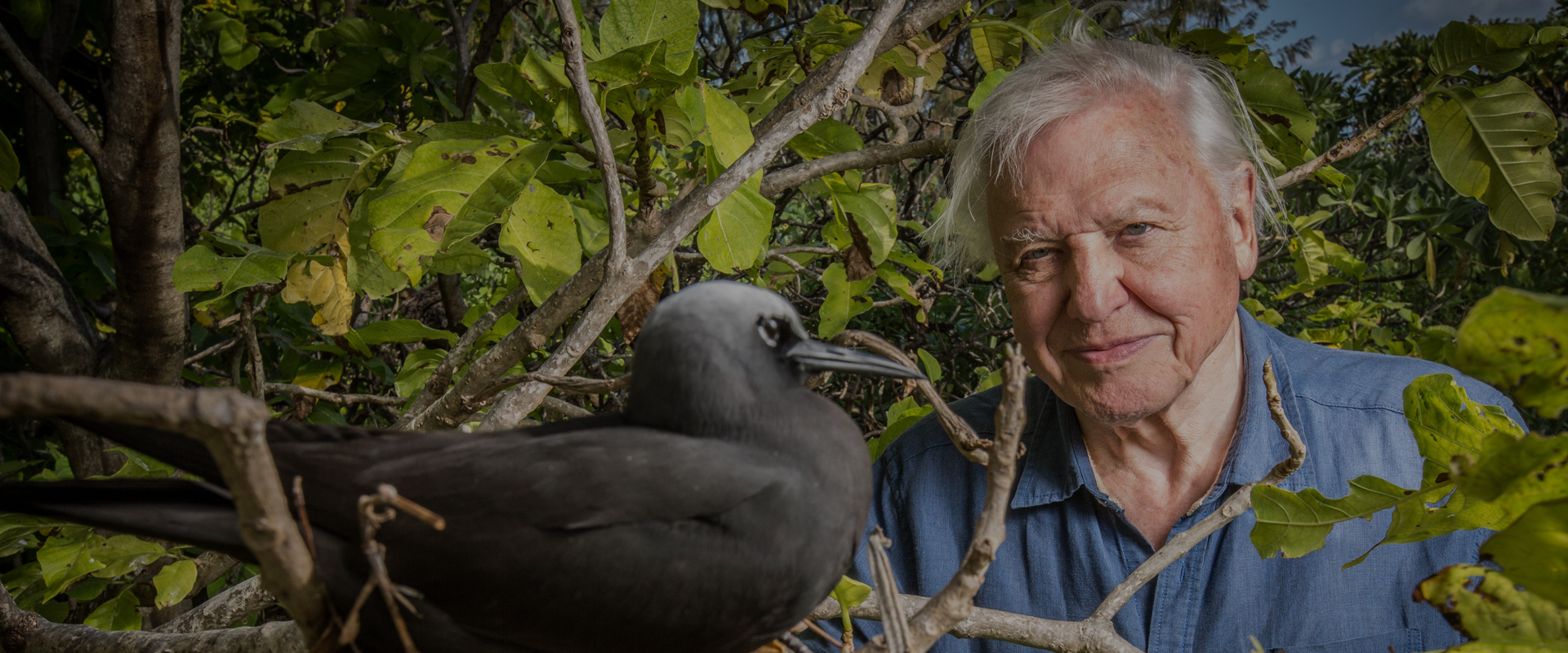 Attenborough's Global Adventures