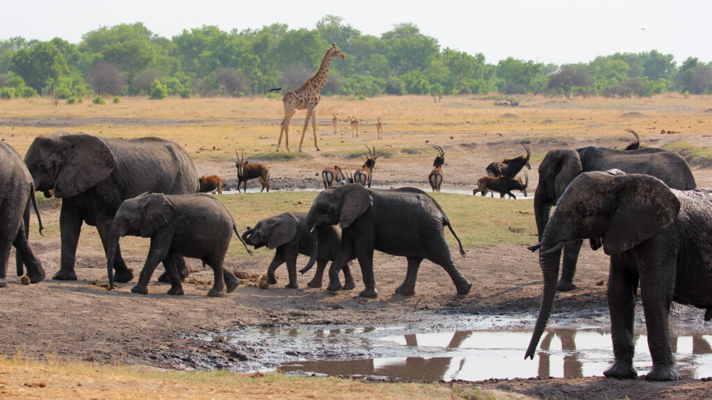 A Year on Planet Earth — S1E6 — A Year on My Planet Earth