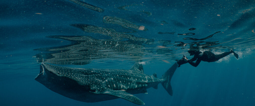Deep Dive: North America — S1E4 — Coral Seas