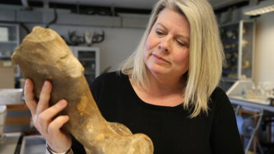 Secrets of the Titanosaurs