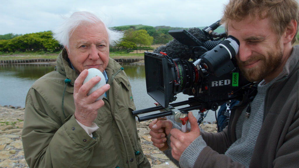 Attenborough’s Wonder of Eggs — S1