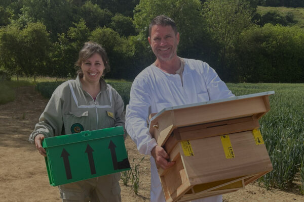 The Secret Life of Bees with Steve Backshall