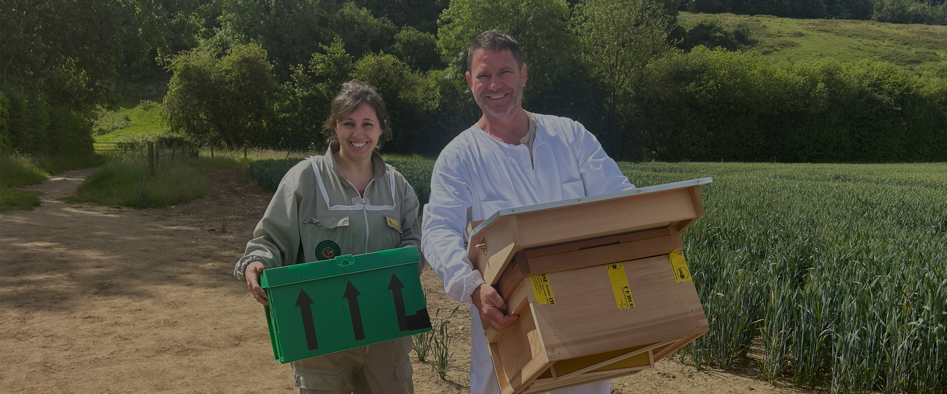 The Secret Life of Bees with Steve Backshall
