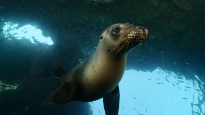 A Year on Planet Earth — Episode 2