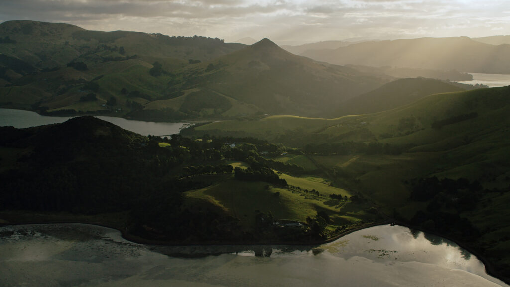 Wild New Zealand — S1E1 — 101