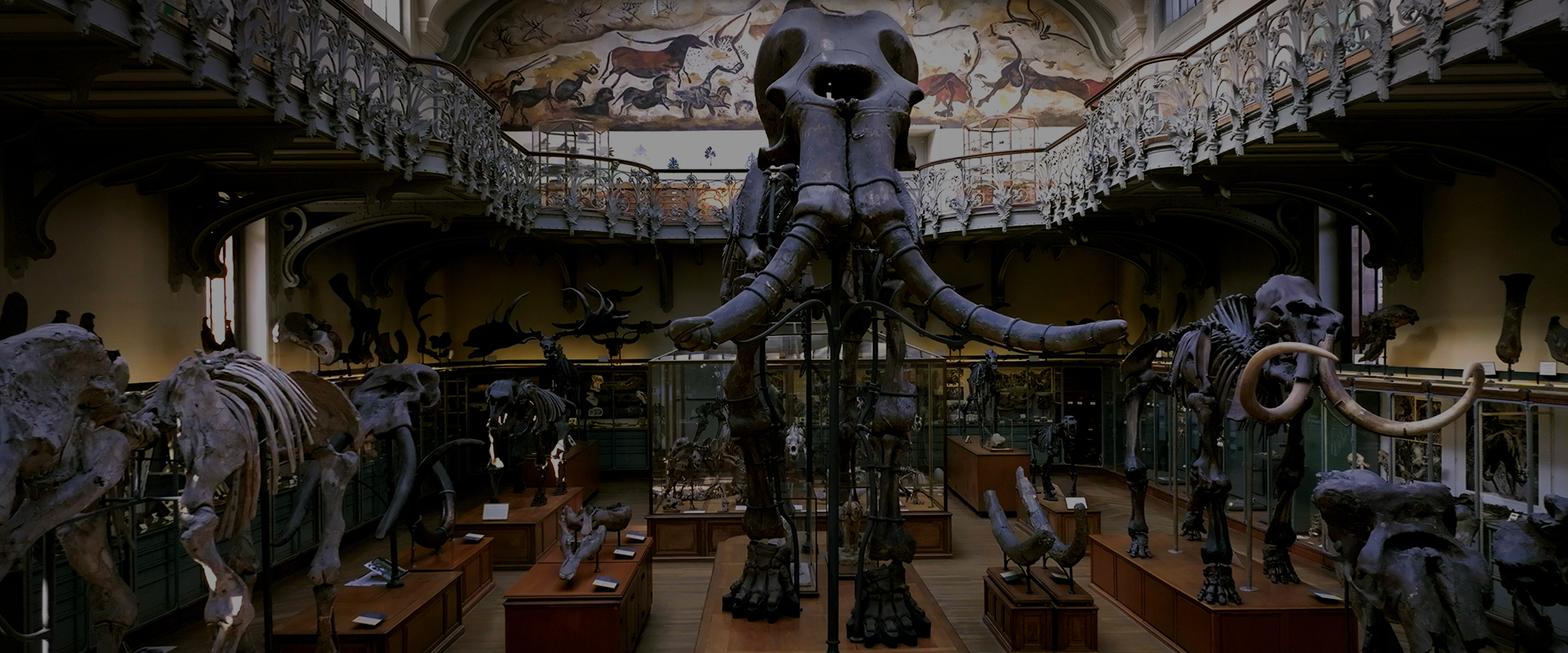 In the Footsteps of the Giant Mammoth