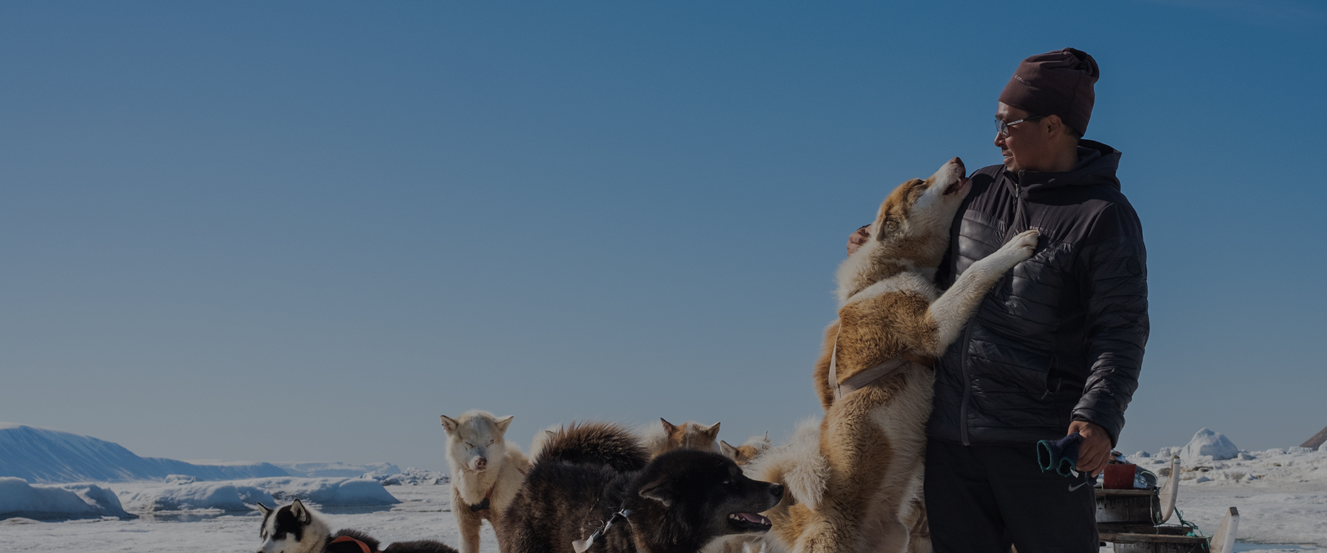 Arctic