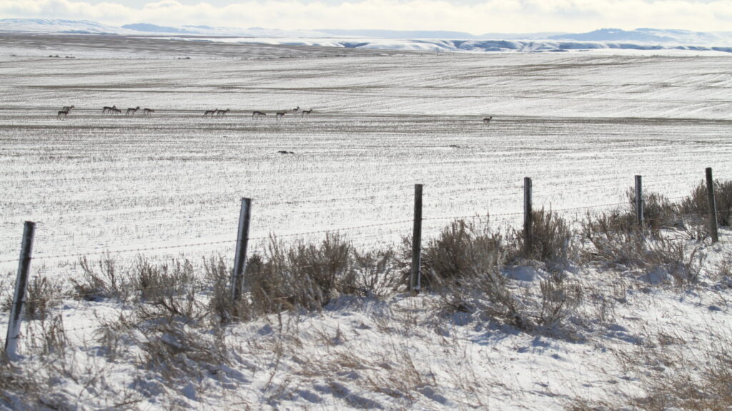America’s Wild Border: Northern Exposure — S1