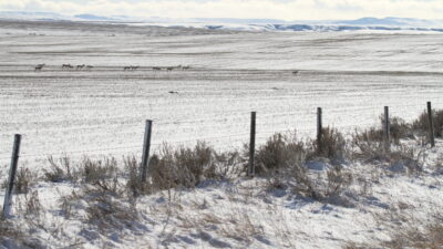 America's Wild Border: Northern Exposure — Episode 0