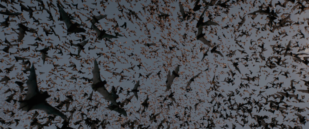 Airborne — S1E4 — Flight Path