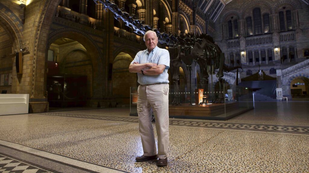 Attenborough's Global Adventures — S1E3 — The Rise of Nature
