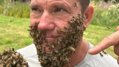 The Secret Life of Bees with Steve Backshall — Episode 2