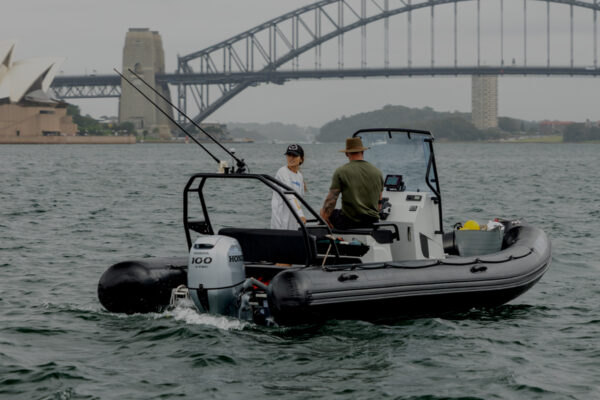 Sydney Harbour Shark Invasion