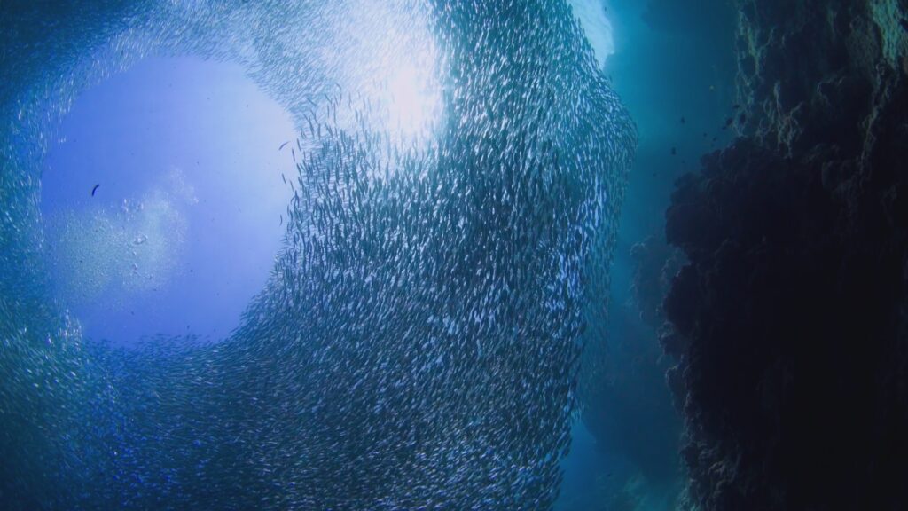 The Pacific — S1E1 — The High Seas