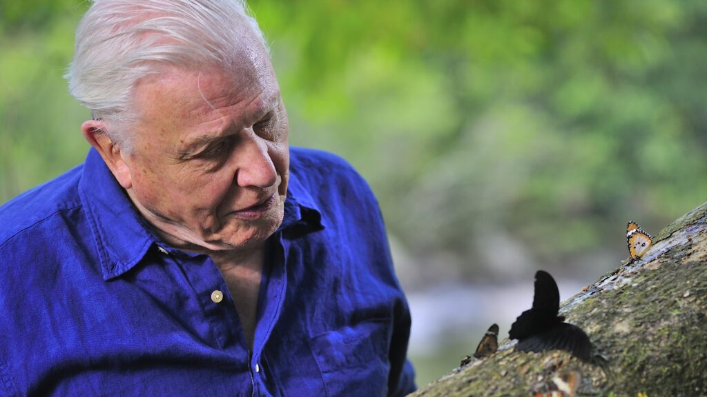 Attenborough's Global Adventures — S1E1 — Attenborough's Global Adventure