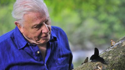 Attenborough's Global Adventure