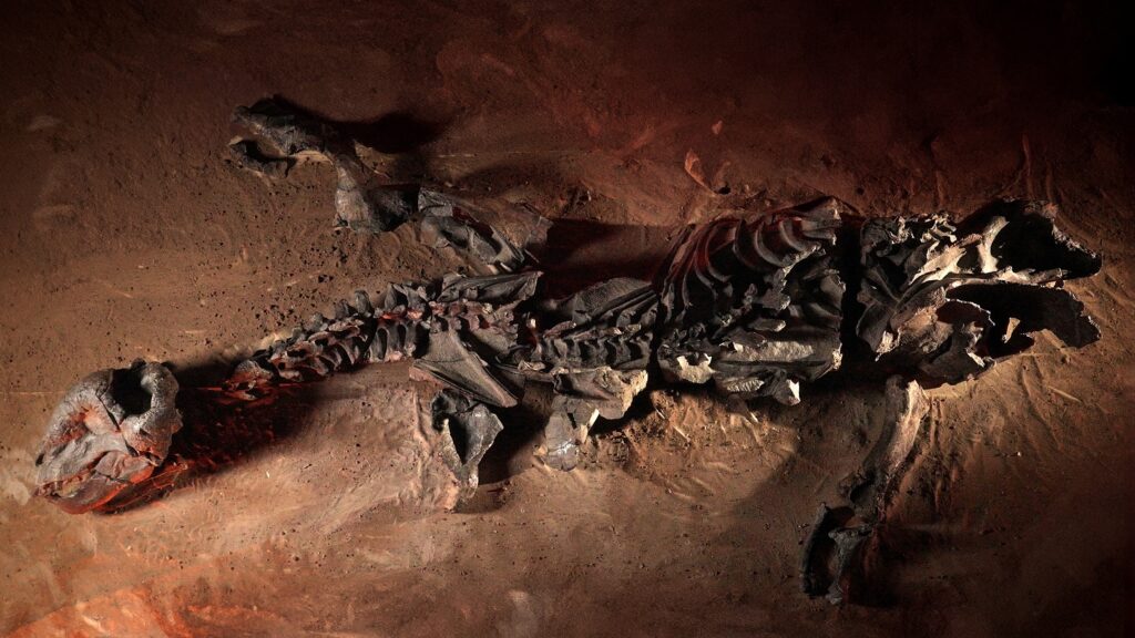 The Origins of Mammals — S1E1 — Our Ancient Ancestors