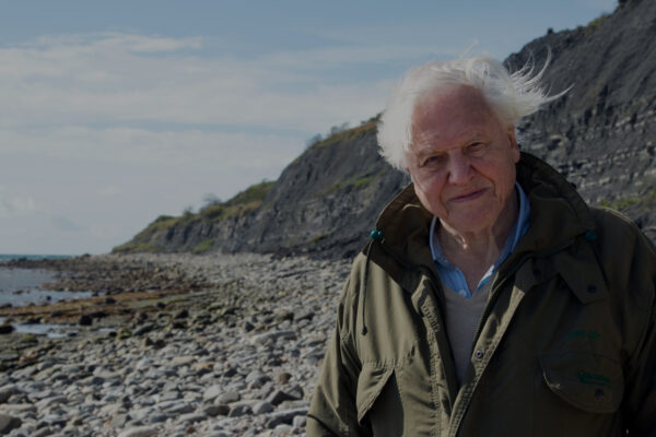 Attenborough and the Sea Dragon