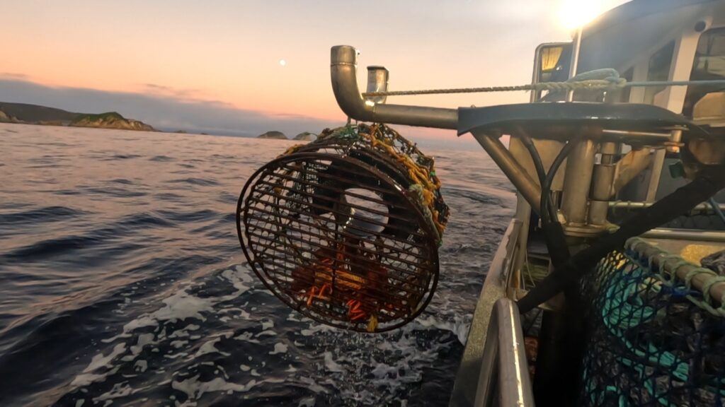 Aussie Lobster Hunters — S5E3 — 503