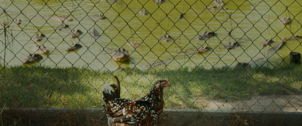 Texas Gator Savers — S1E8 — Pipe Dreams