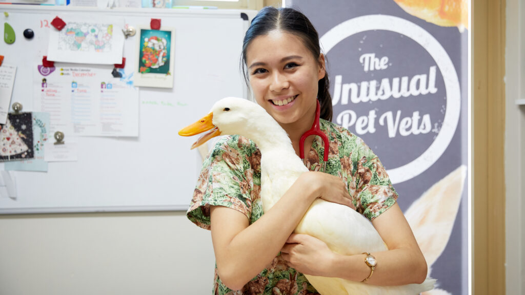 The Bizarre Pet Vets — S1E1 — 101
