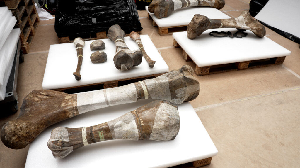 In the Footsteps of the Giant Mammoth — S1