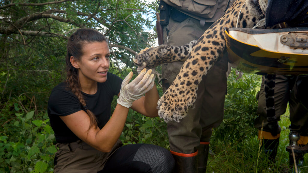 Jaguar Journals — S1E5 — Badalo Is Missing