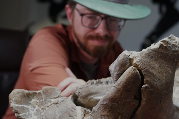 Lost Beasts: Unearthed