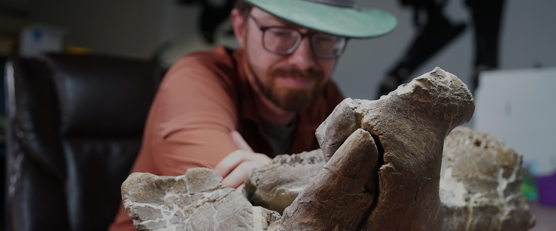 Lost Beasts: Unearthed