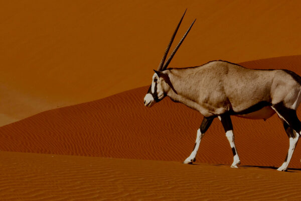 Extreme Namibia