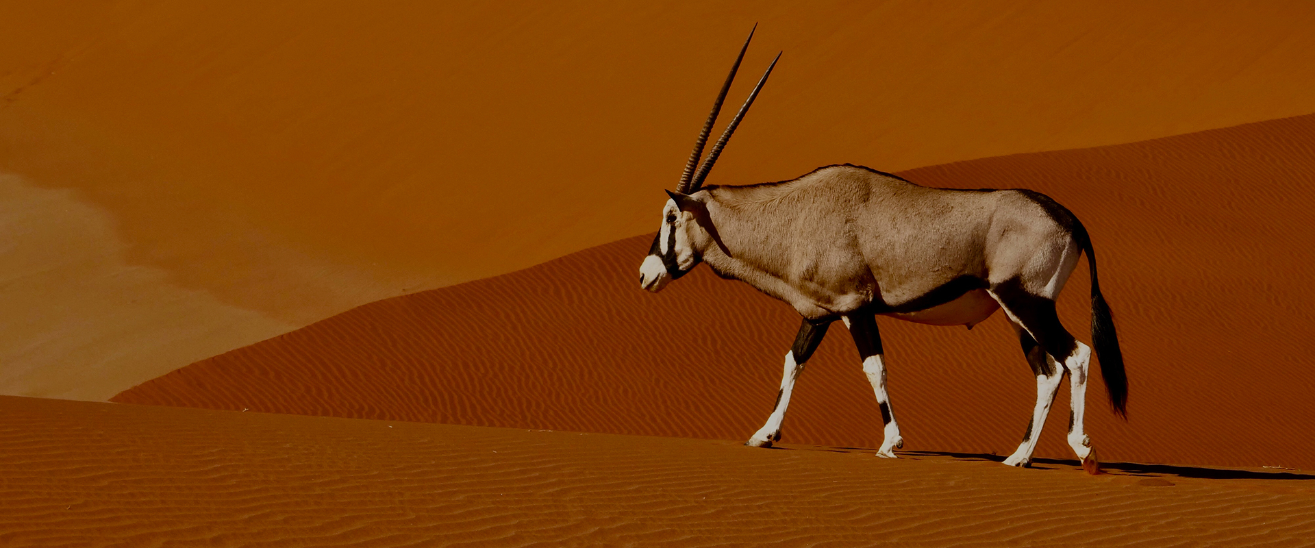 Extreme Namibia